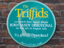 Triffids, The - Born Sandy Devotional (id=2785)